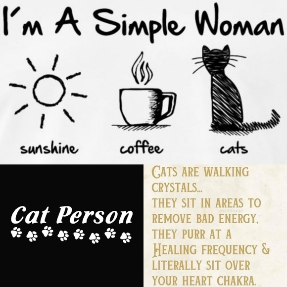 My Cats 𓃠🧡🧡𓃠 - Picture 13 of 16